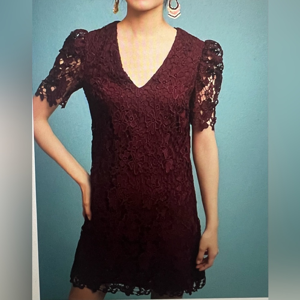 Donna Moran lace tunic mini dress